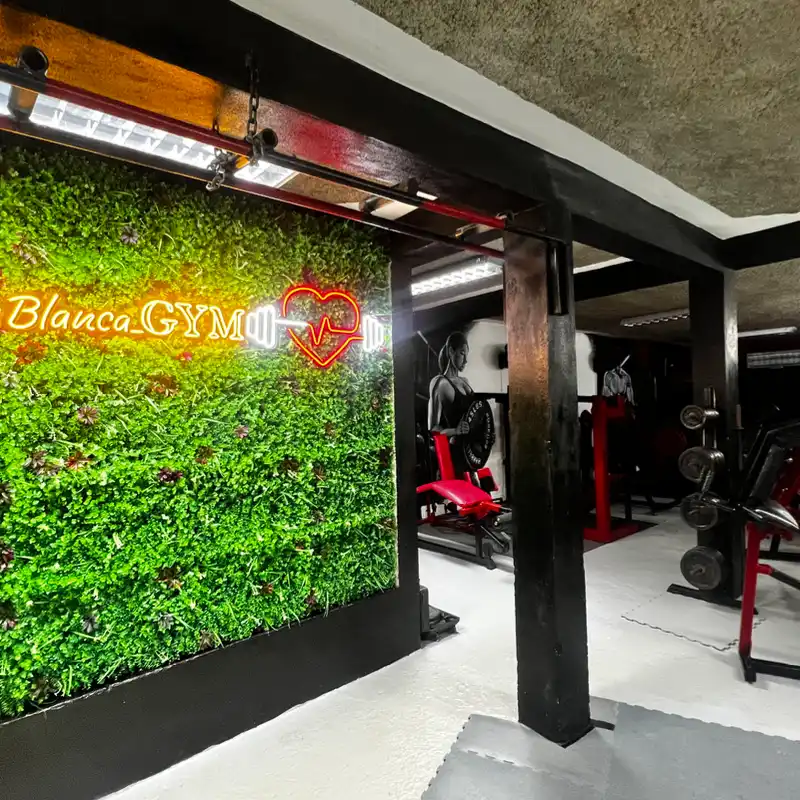 Espacios del GYM 