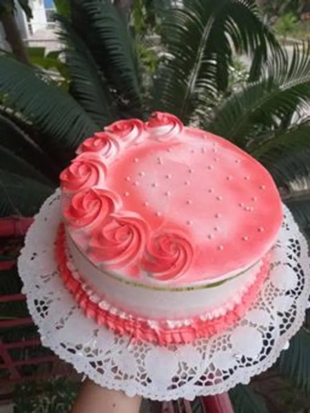 Cake  Max Casual
