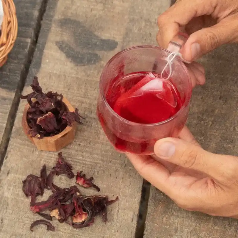 Té de flor de Jamaica (10 uds)