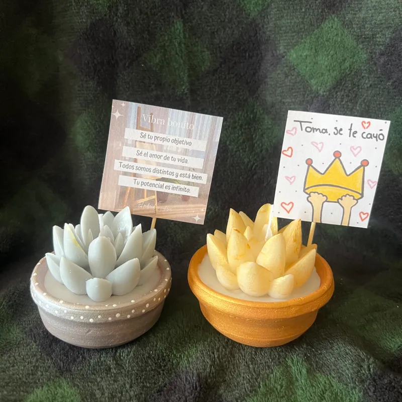 Macetas con flores positivas 2 