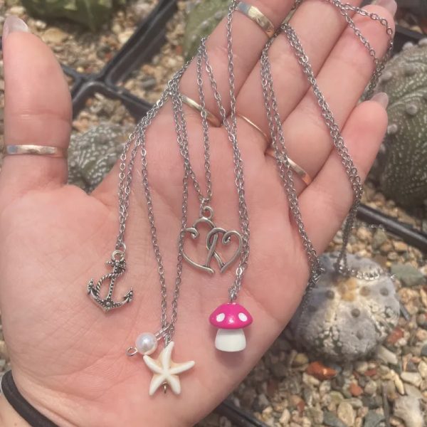 Collares de Acero Inoxidable