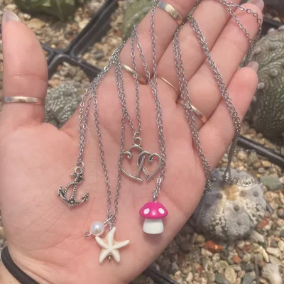 Collares de Acero Inoxidable