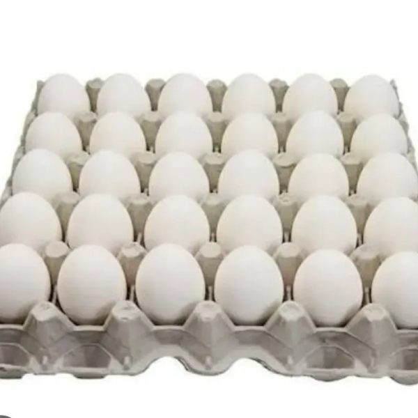 Filis de Huevos
