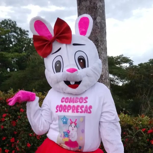 Combo sorpresa