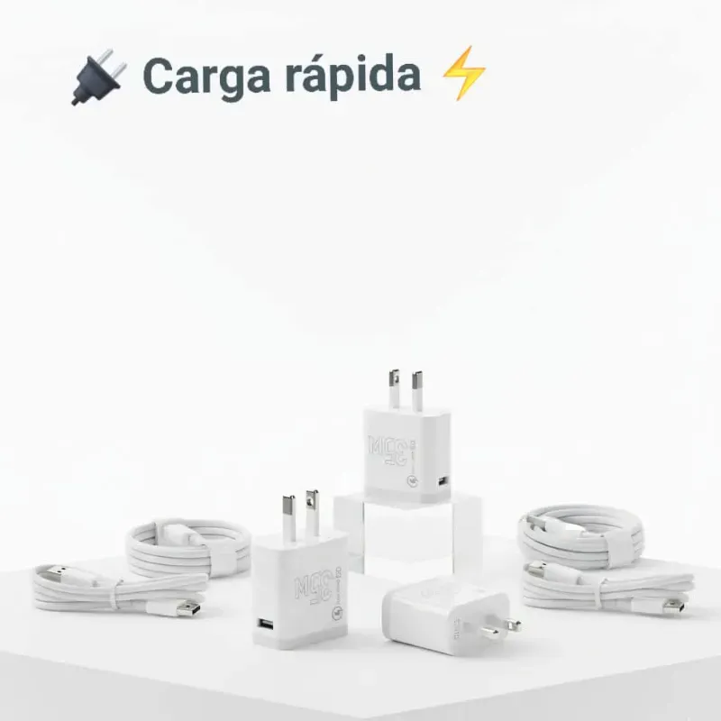 Cargadores de carga rápida