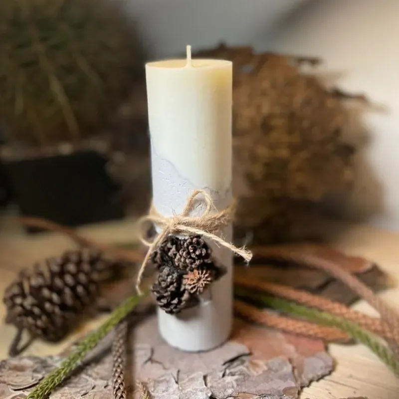 Vela de soja en base de cemento con pino casuarina.