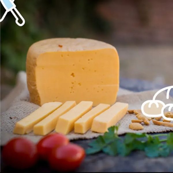 Queso Gouda