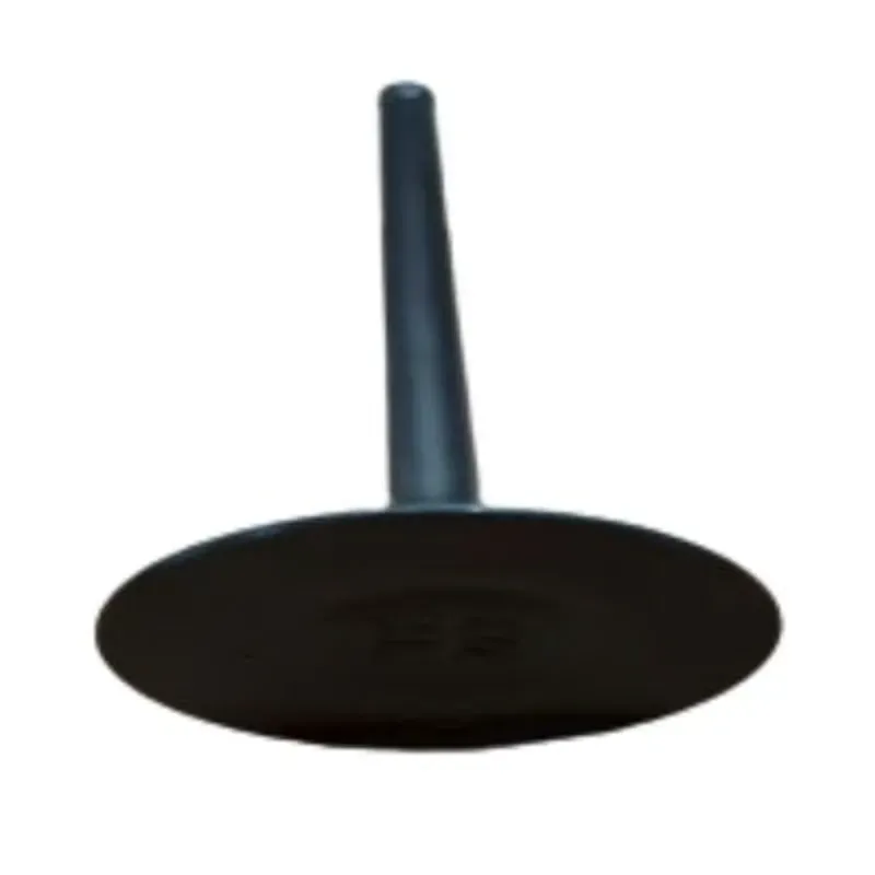 Válvula de admisión refrigerada por aceite CB200-A (templado por inducción) LT320-250CC LAITUNING