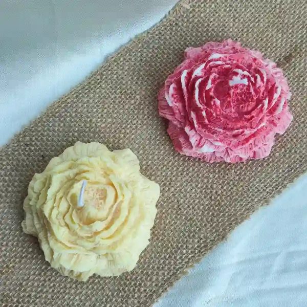 Rosa M de cera