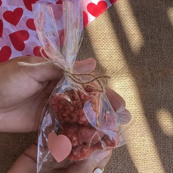Osito de rosas  II