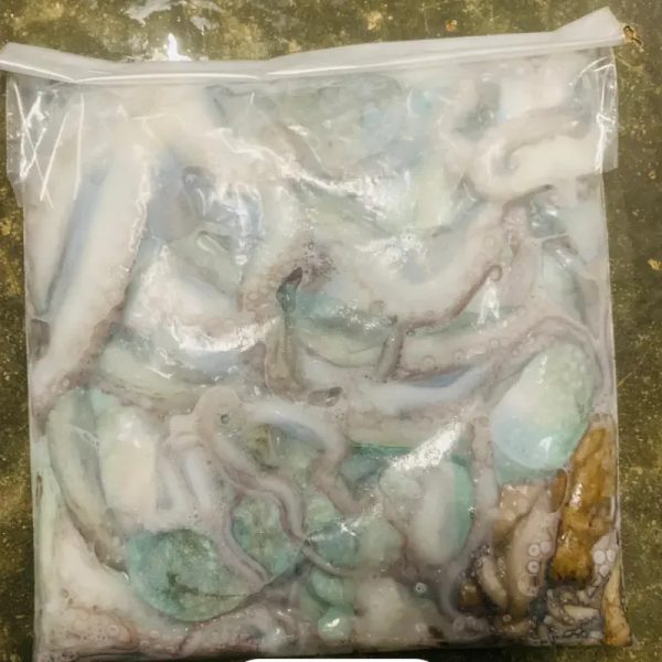 Pulpo 3lb