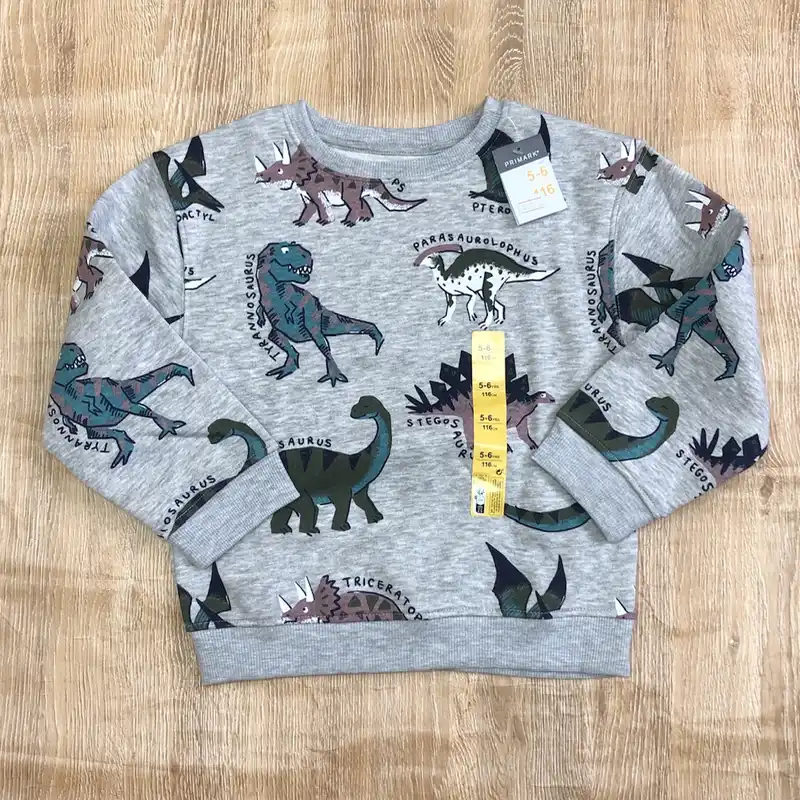 Abrigo con dinosaurios color gris