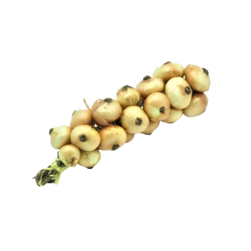 Cebolla