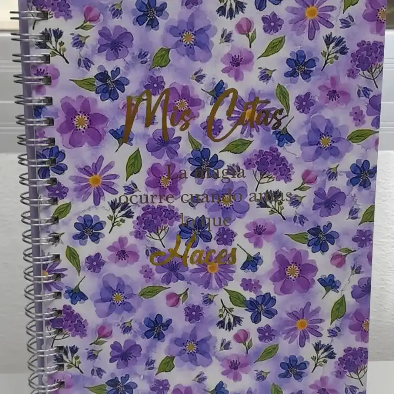 Agendas para Cita Manicuri