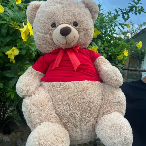 Peluche oso Plus❤️