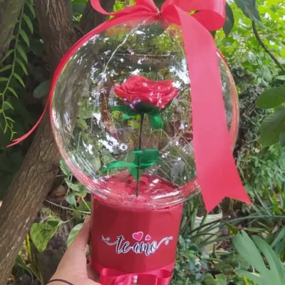 Globo burbuja con rosa dentro que alumbra