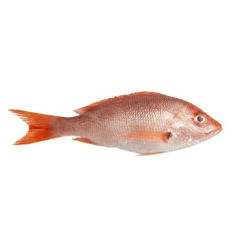 Pescado Crudo Entero (Pargo o Cubera) 5 a 6 kg