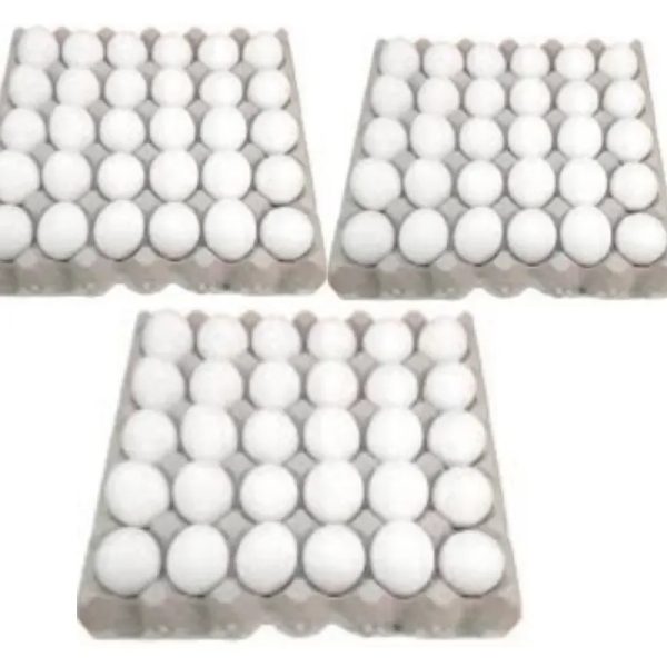3 Cartones de Huevos