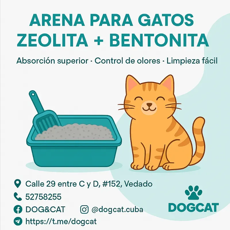 Arena para Gatos 