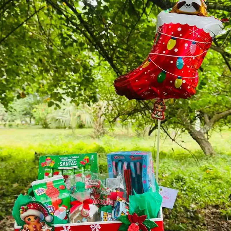 Bandeja navideña surtida de Confituras  ( caramelos de baston , malvadiscos, bombones , casita de  turron , chicles , barquillitas de Nutella )