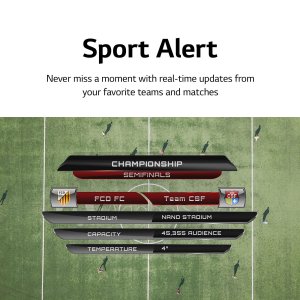 LG 43" 4K UHD Smart TV 2160p webOS, 43UQ7070ZUD