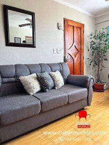 Brasileño Moderno Sofá 3 y 2