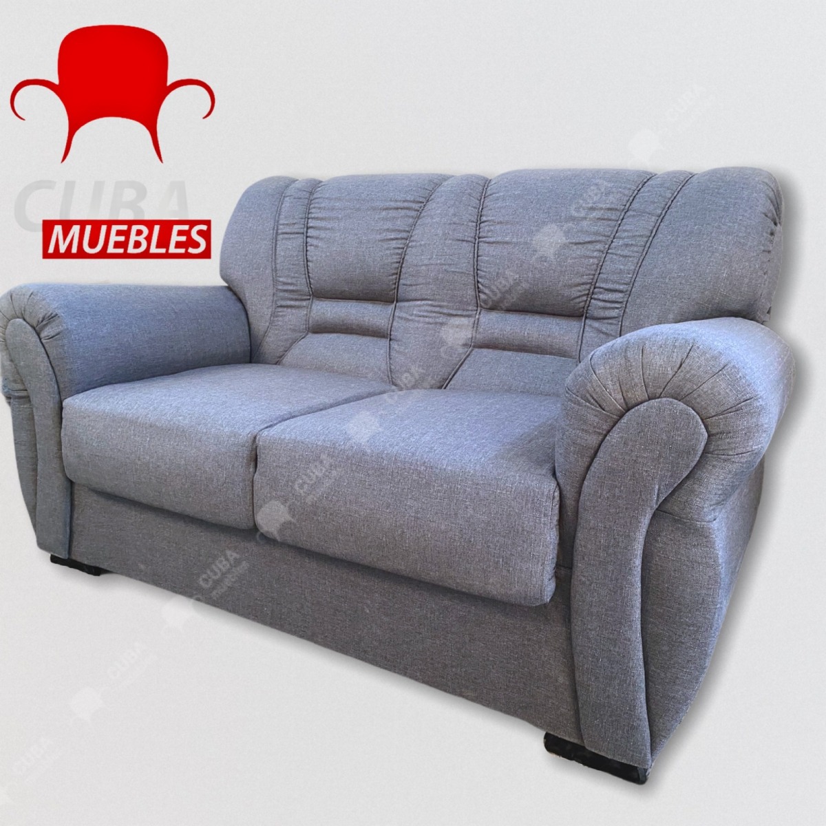 Sofa Brasileño Moderno 2 plazas