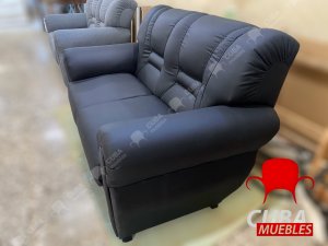 Sofa Brasileño Moderno 2 plazas