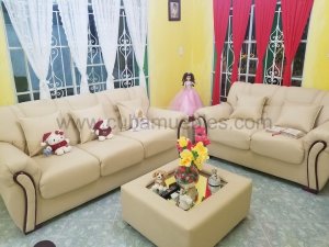 Sofás de Brasileño en Beige con Mesita de Centro y Cojines