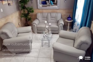 Juego de Sala Brasileno Moderno en Gris