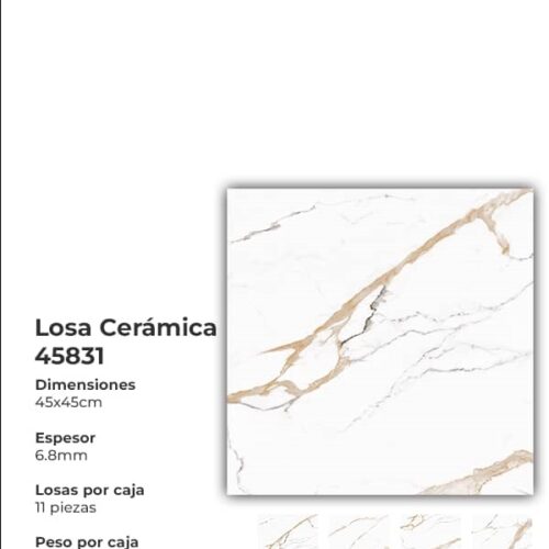 Losa cerámica 45x45 45831