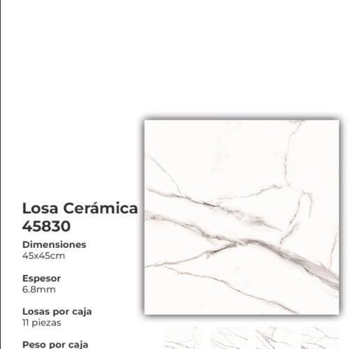 Losa cerámica 45x45 45830